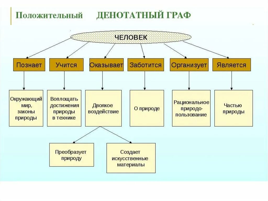 Представленных в разделе является. Пример денотатного графа.