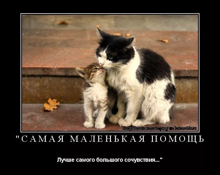 10 самых помощи. уверенный человек. 10 самых помощи. лучше маленькая помощь, чем большое сострадание. мотиваторы.