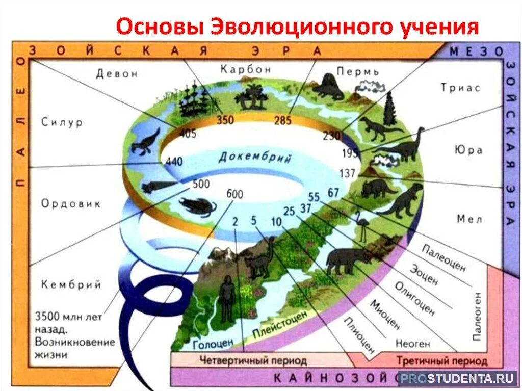 Заполните ленту времени развития жизни на земле. Эпохи и периоды земли. Геохронологическая таблица. Геологическая история земли. Геохронологическая шкала эволюции.