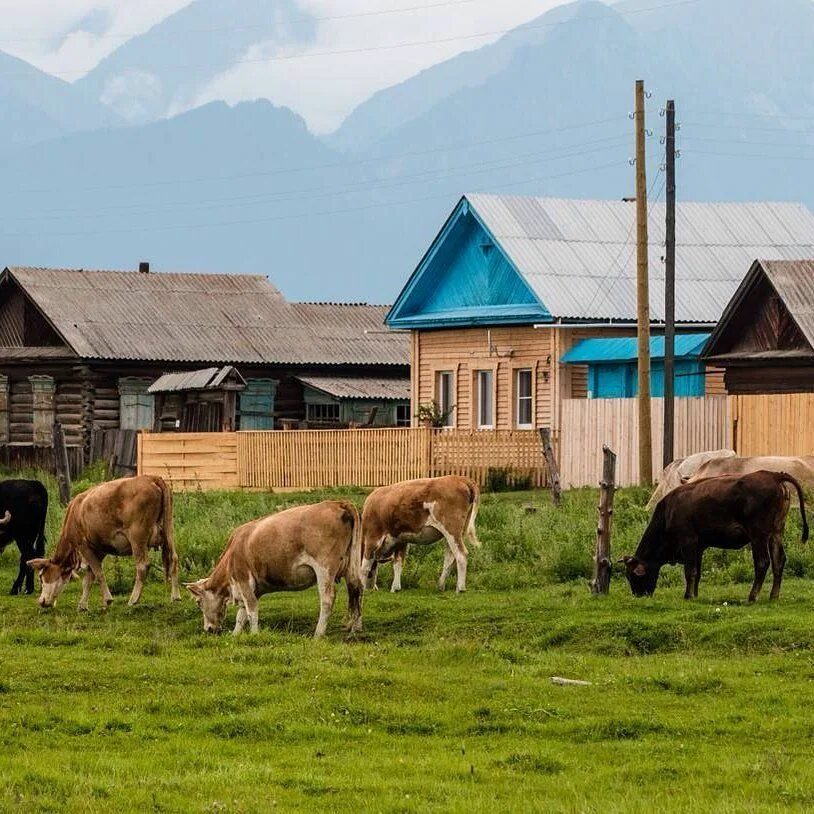 Республика бурятия село. Республика Бурятия деревни. Поселок Наушки Бурятия. Бурятская деревня. Красивые поселки Бурятия.