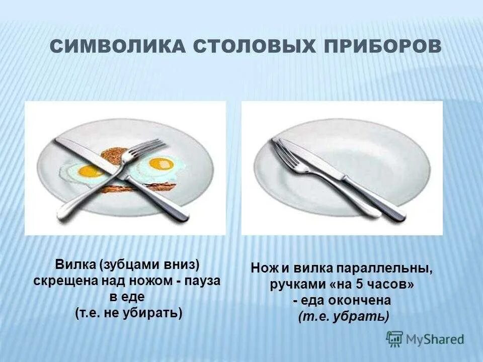 Допускается ли использование одноразовых столовых приборов. Столовый этикет приборы. эткетстоловых приборов. этикет пользования ножом и вилкой.. этикет приборы на тарелке.