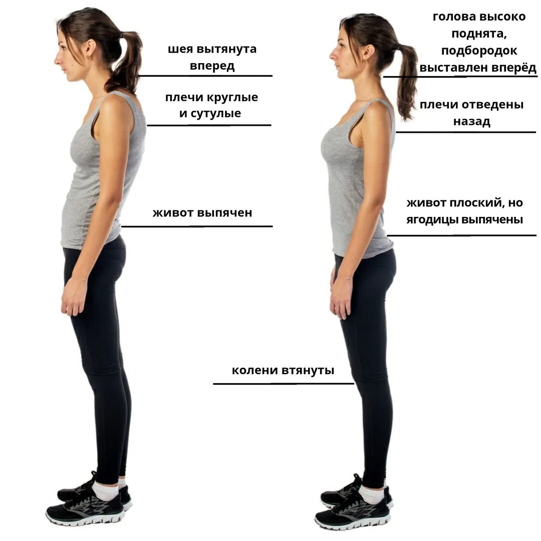 Правильная поясница. Правильная осанка. RFR ghfdbkmyj держать осанку. Упражнения для сутулых. Правильное положение спины.