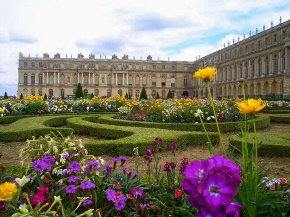Почему версаль. Версаль Франция. Цветы Версаля Франция. Версаль парк весной. Клумбы Версаля.