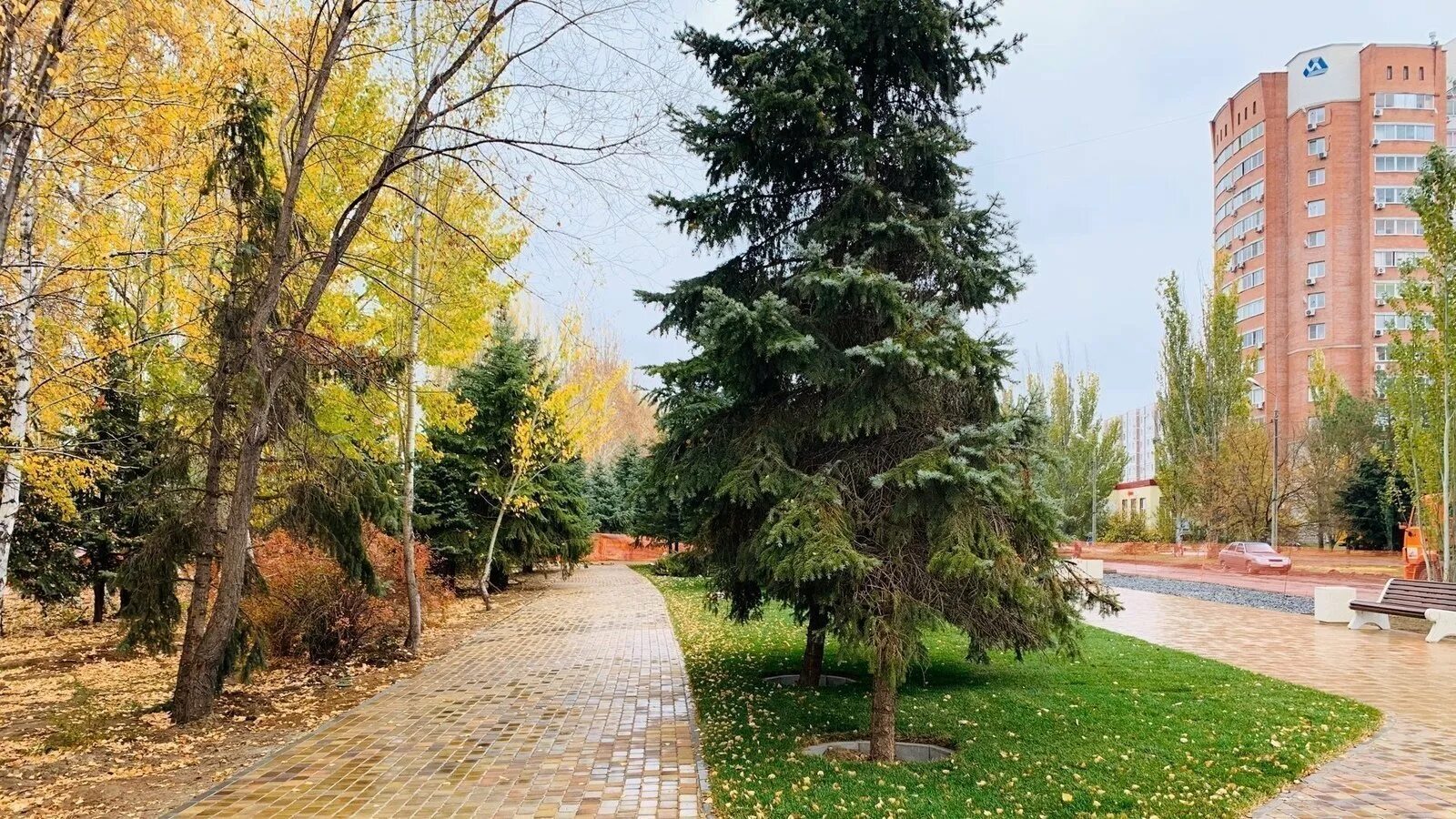 Аллея волжская ул 28 фото Аллея волжская ул 28 фото