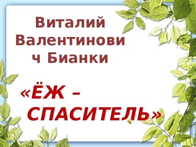 Бианки еж. Бианки еж