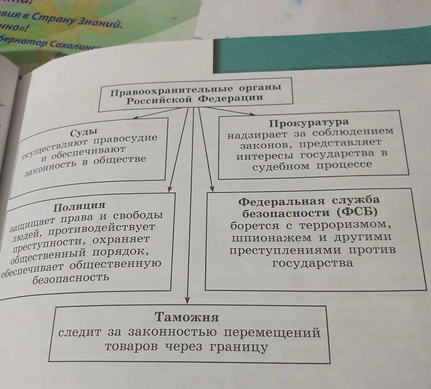 Правоохранительные органы таблица. Таблица правоохранительные органы и их функции. Функции правоохранительных органов таблица. Составьте таблицу правоохранительные органы.