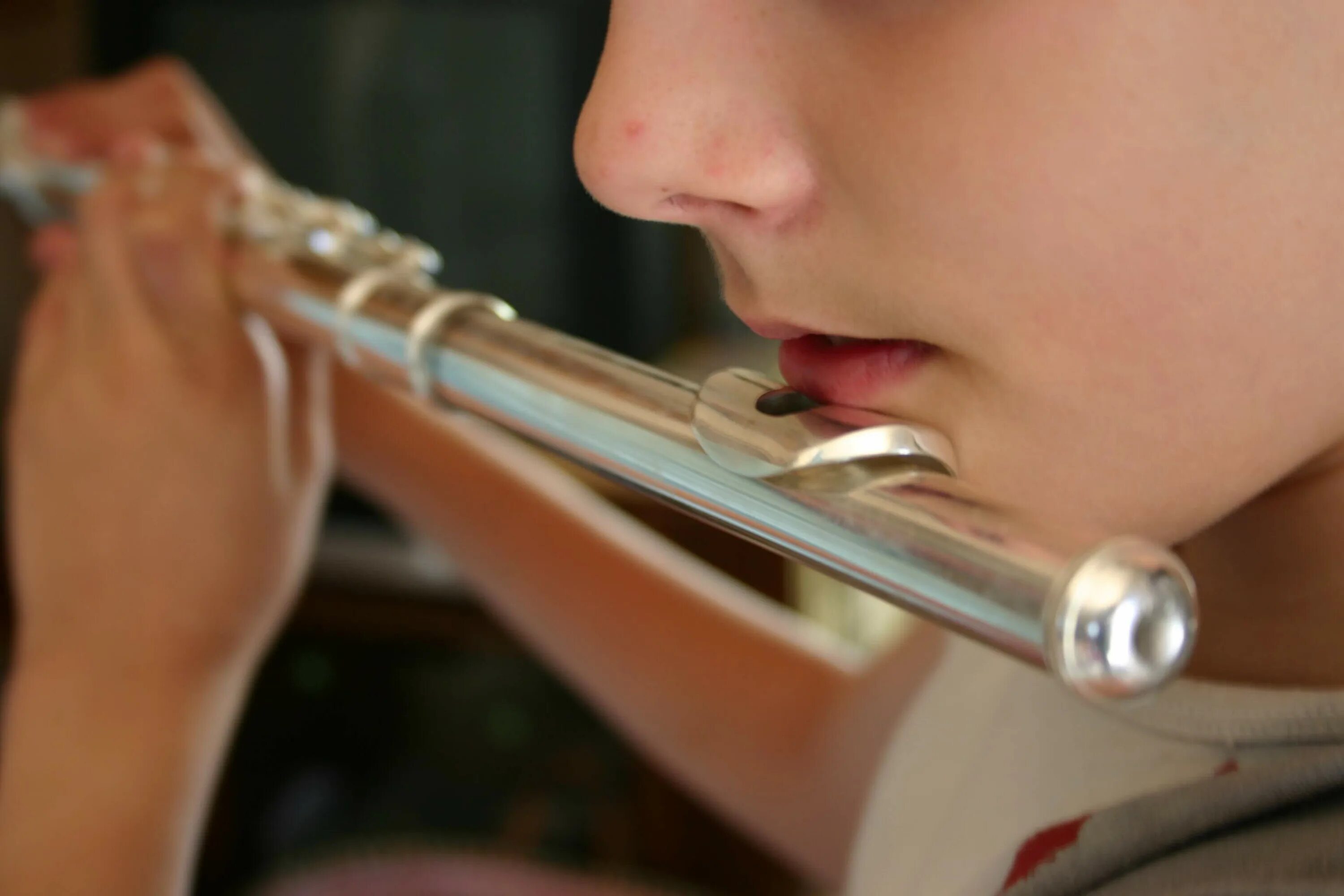 Флейта. Флейта музыкальный инструмент. Поперечная флейта. Игра на флейте. Playing flute