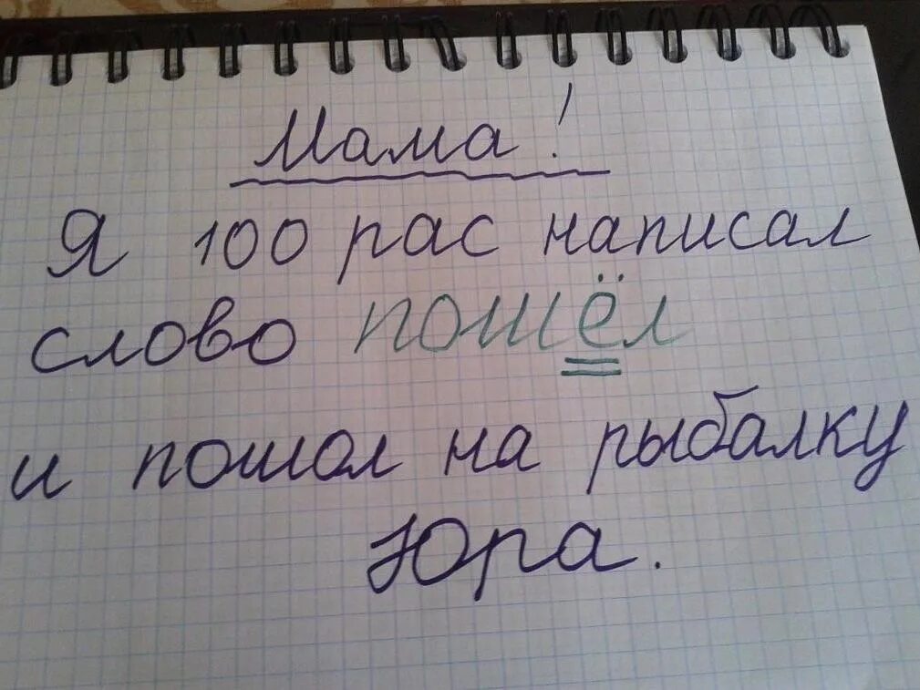 Как правильно написать фотографий. Приколы написанные. Приколы с написанием. Смешные тексты. Письменные шутки.