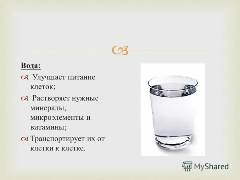 Чем полезна вода для организма. Вода улучшает. Вода улучшает. Пить воду. Польза воды.