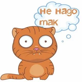 Мяу телеграм