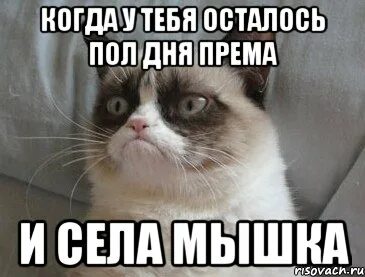 Осталось пол дня