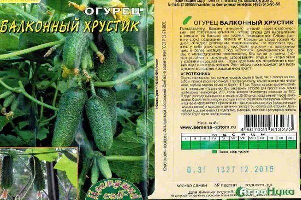 Балконный хрустик. Огурец балконный хрустик f1 цс. огурец чудо хрустик f1. огурцы хрустик описание сорта. семена огурец балконный хрустик f1 цветущий сад.