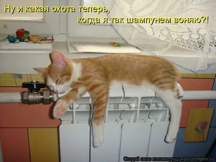 Наелся напился
