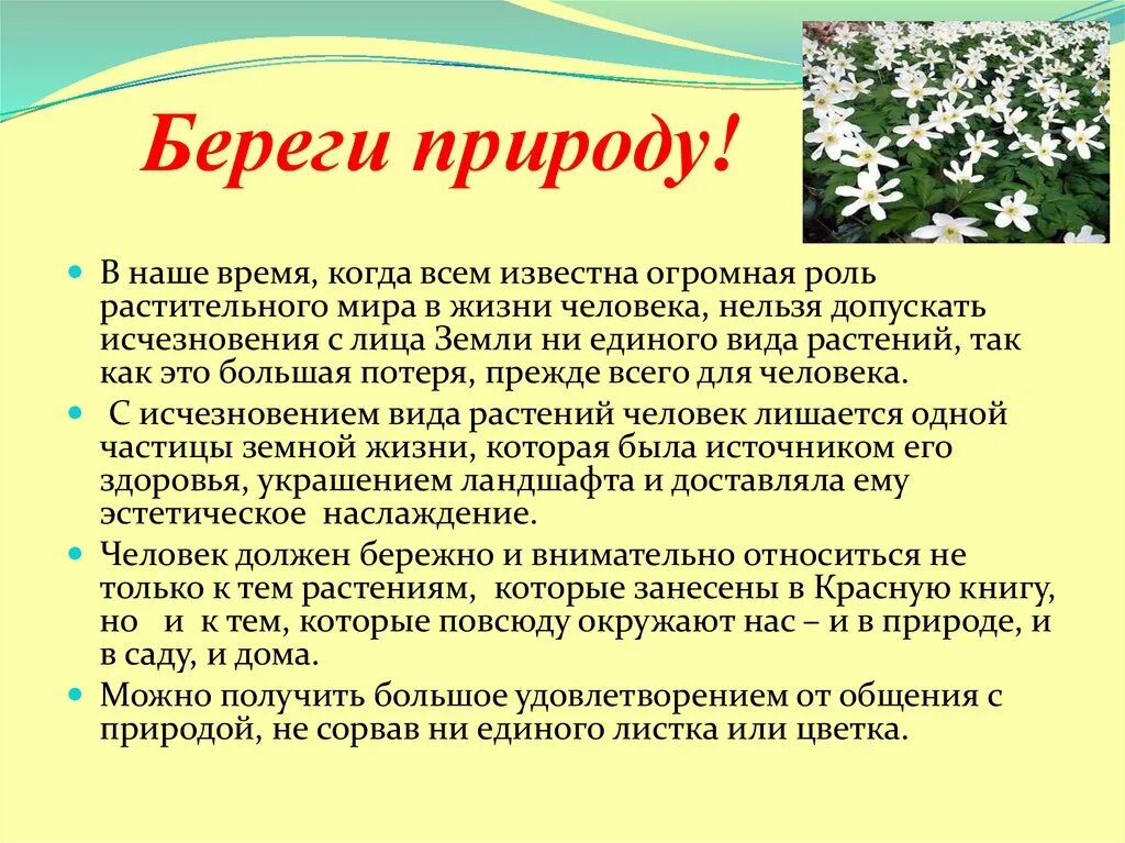 Сохранение исчезающих видов растений. Берегите редкие растения. листовка редких растений. редкие растения тема урока. листовка о защите редких растений и животных.