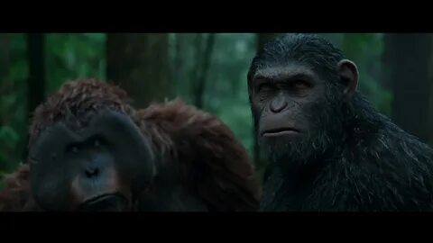 Ape planet watch