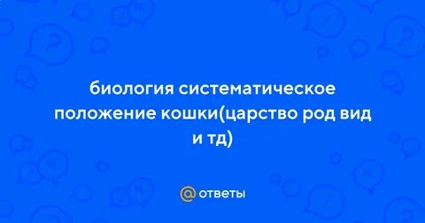 Систематическое положение кошки
