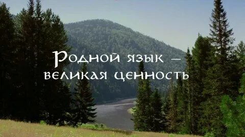 Звучи в веках родной язык 2024