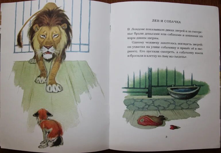 Л толстой рассказы лев и собачка. Сказка толстого лев и собачка. произведение льва николаевича толстого лев и собачка. рассказ льва николаевича толстого лев и собачка. толстой рассказы для детей лев и собачка.