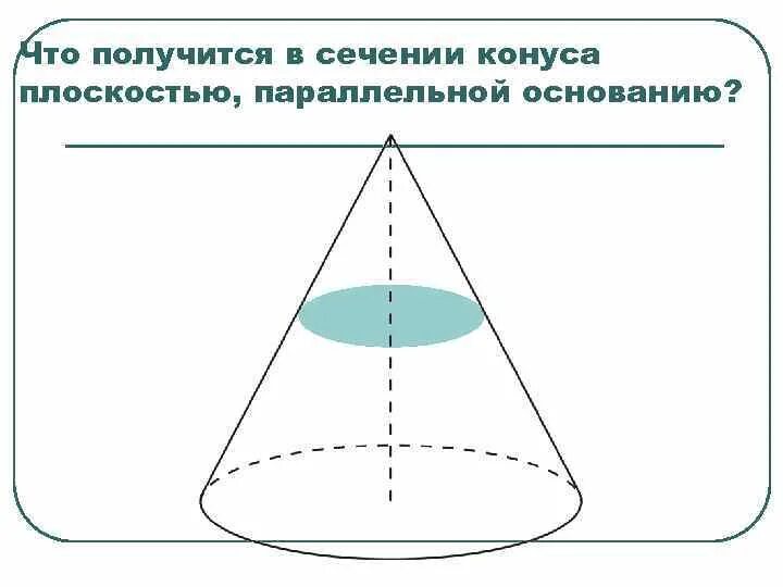 Сечение параллельное основанию является. Сечение параллельное основанию конуса. Сечение конуса параллельно основанию. Параллельное сечение конуса. Сечение конуса плоскостью.