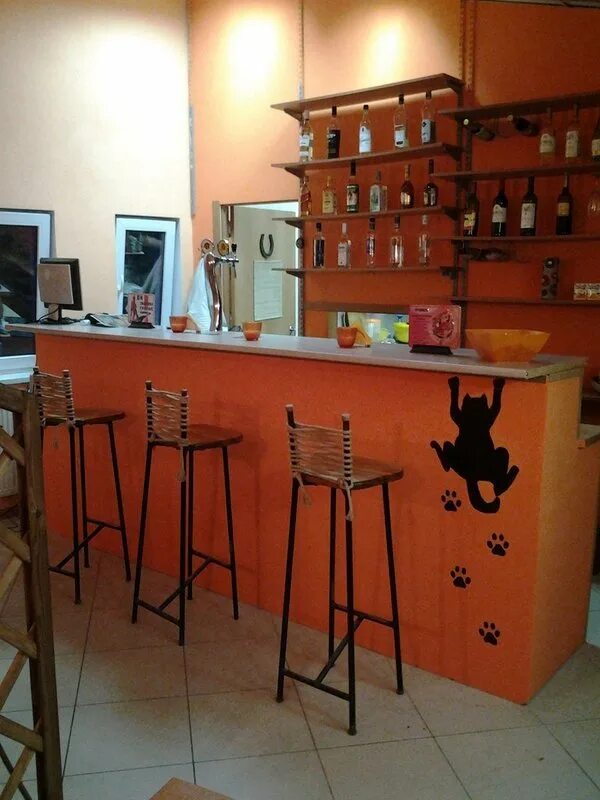 Кафе рыжий кот. Коте кафе калининград. кафе с котами калининград. бар рыжий кот в чусовом.