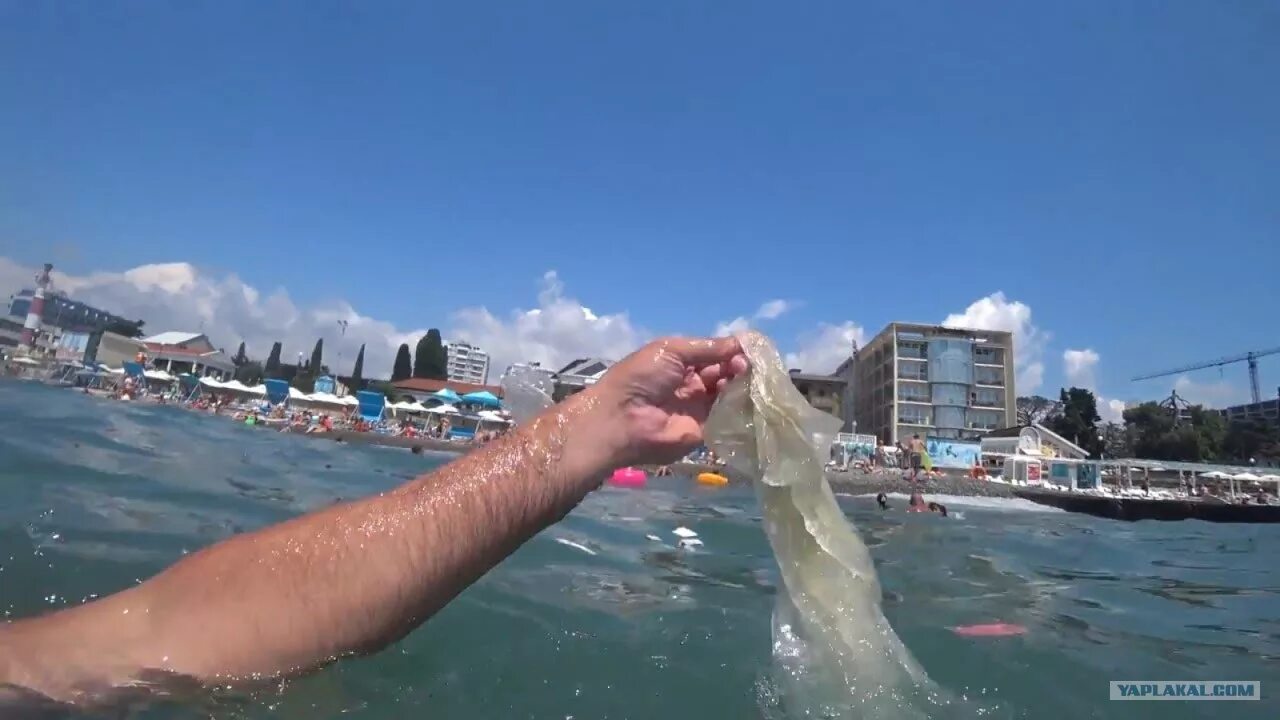 Сколько вода в море в сочи. Грязное черное море в Сочи. Загрязнение воды в Сочи. Грязная вода в Сочи. Купаться в море Сочи.