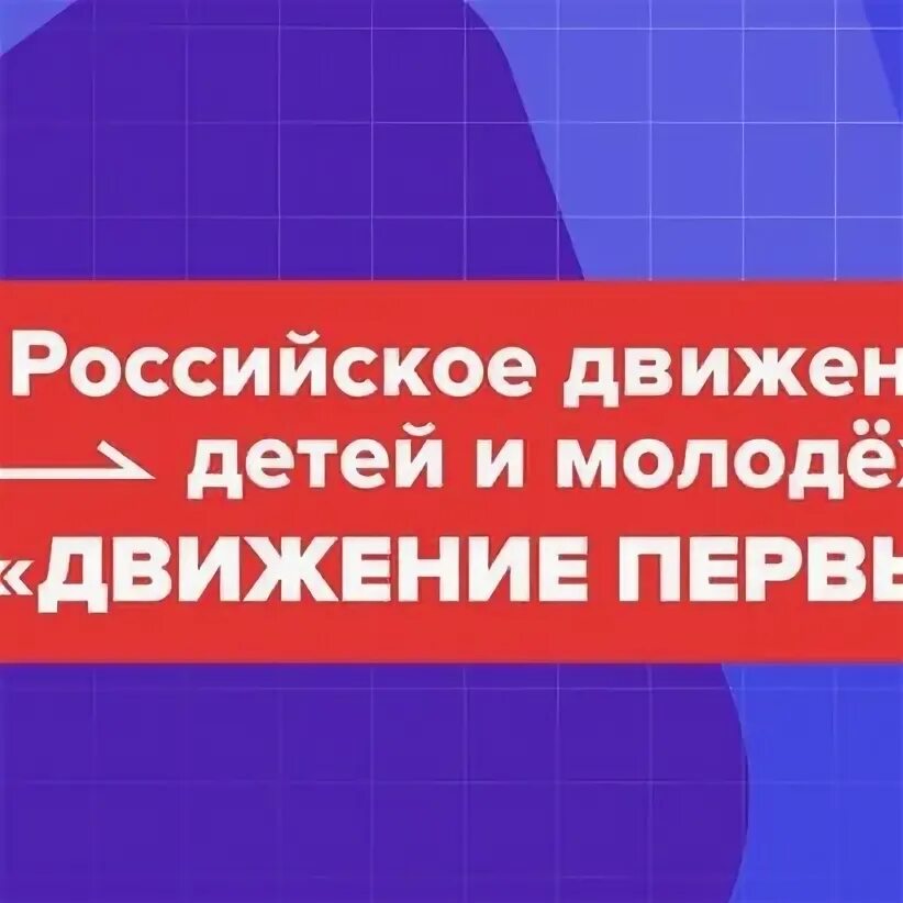 Движение первых суть проекта Торжественное открытие первичного отделения Российского движения детей и молодеж