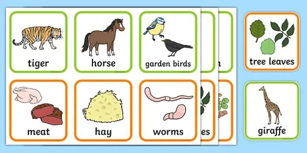 Do they like animals. Animals and what they eat. What do animals eat. What do Farm animals eat. Food for animals Worksheets.