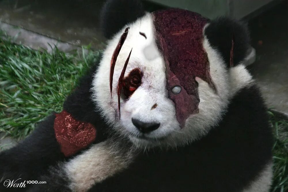 Панда арт. Самая большая панда в мире. Образ жизни панды. Жуткая панда. Агрессивная панда.