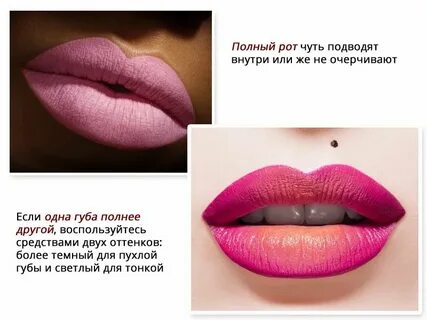 Одна половая губа больше другая меньше
