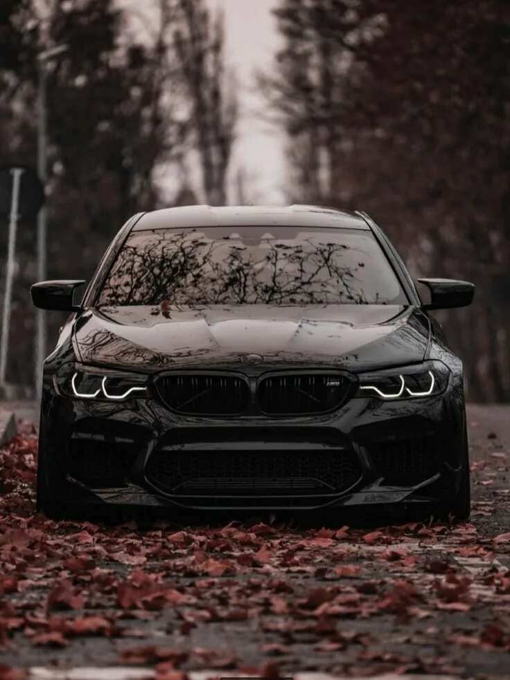 Pin auf F10 in 2024 Bmw 1er, Freude am fahren, Fahren