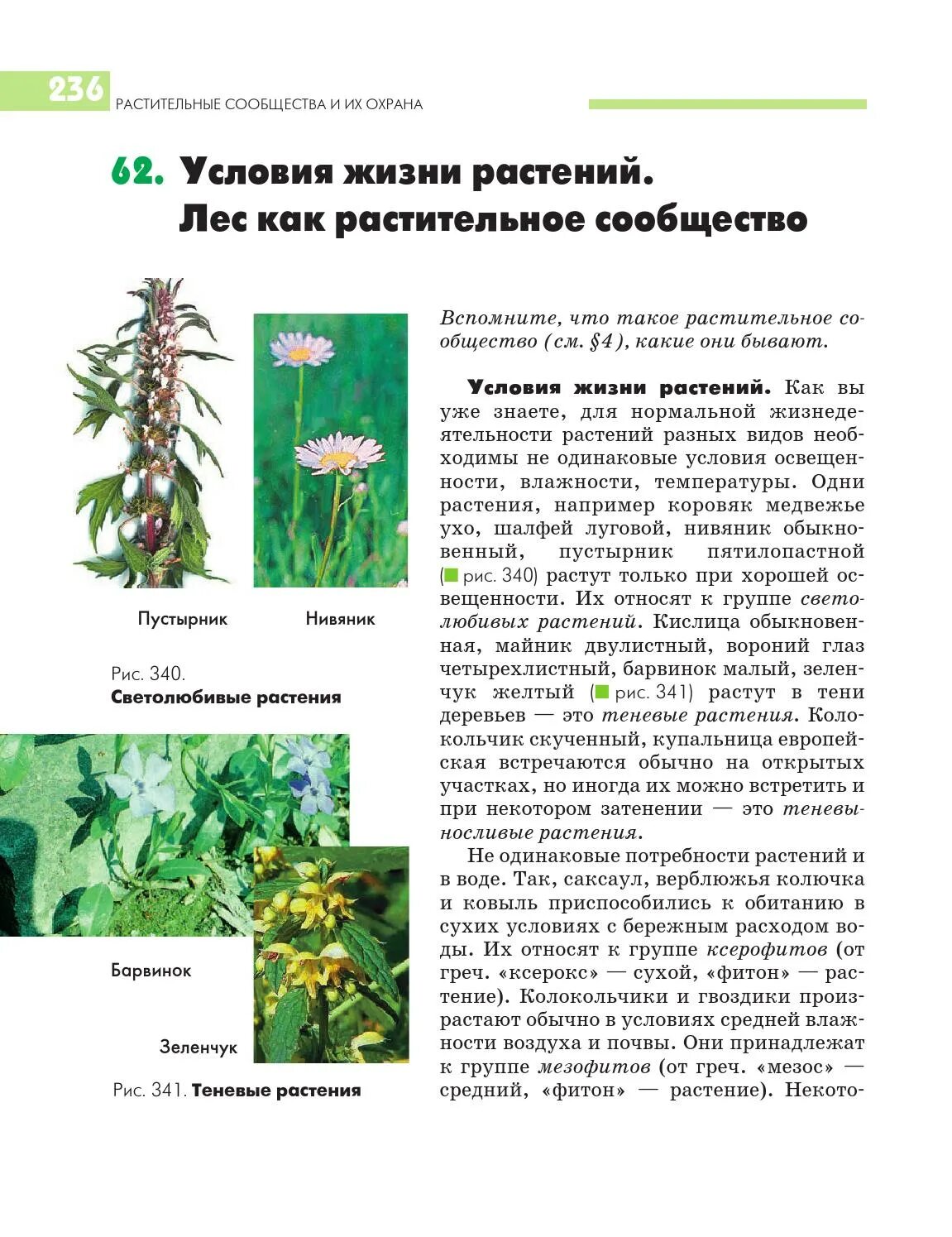Жизнь растений в 6. Растительные сообщества условия растения. Условия жизни растений сообщества. Кислица растительное сообщество. Растения лесного сообщества.