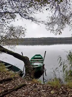 Белые берега разлив