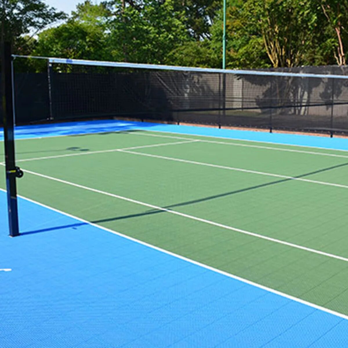 ск витамин адлер. заельцовский парк волейбольная площадка. витамин адлер спорткомплекс. аренда волейбольной площадки. баскетбольный зал мгу.