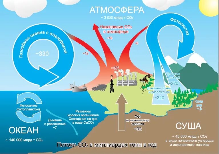 Метан изменение климата. Круговорот углерода в океане. Круговорот газов в природе. Круговорот со2 в природе. Круговорот углекислоты в природе.