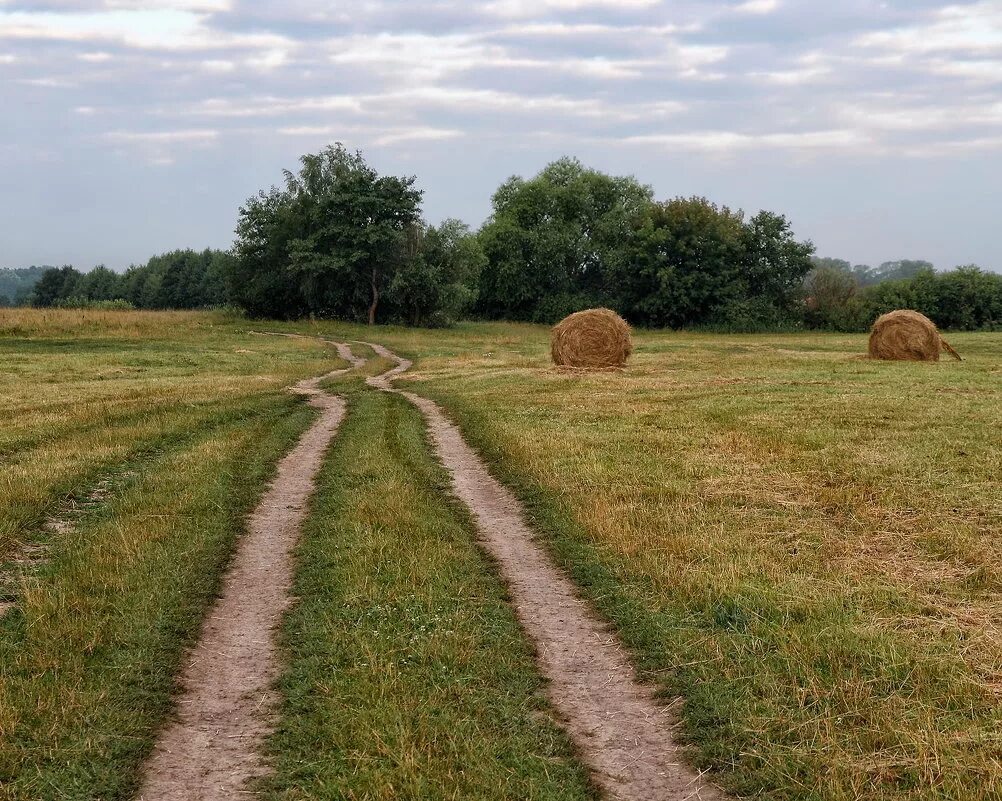 Лето в деревне сенокос. Деревня 70 сенокос. Заготовка сена в деревне. Фото сенокоса в деревне. Лето в деревне сенокос.
