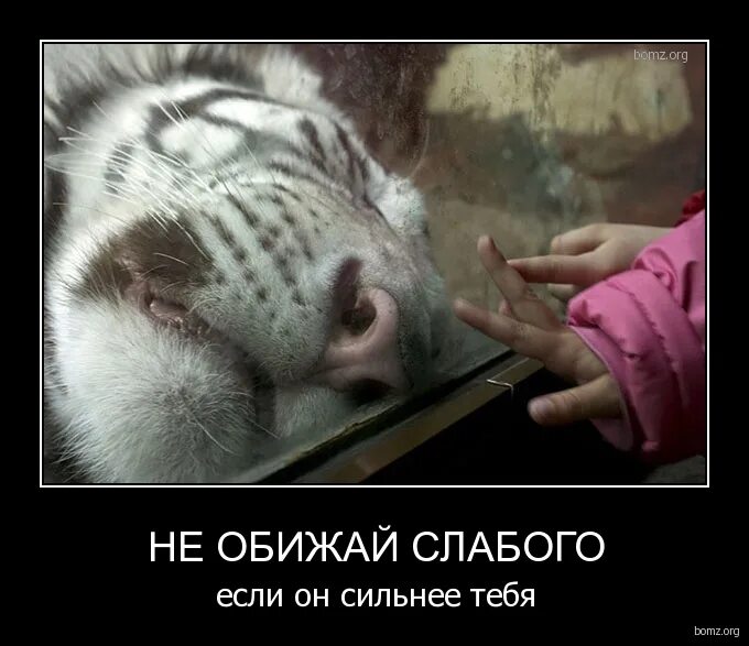 пл. обижать слабых. плохие поступки. обижать слабого. кто слабого обидит.