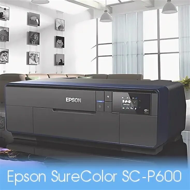 Лучший черно белый лазерный принтер для дома. Epson surecolor p600. топ принтеров для офиса. мфу для дома 2025 год. принтеры лучшие для дома 2025.