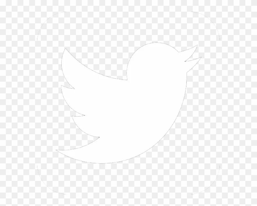 Twitter logo png white. Белая иконка твиттера. Белым бело твиттер. Белые иконки на прозрачном фоне. Иконка твиттера.