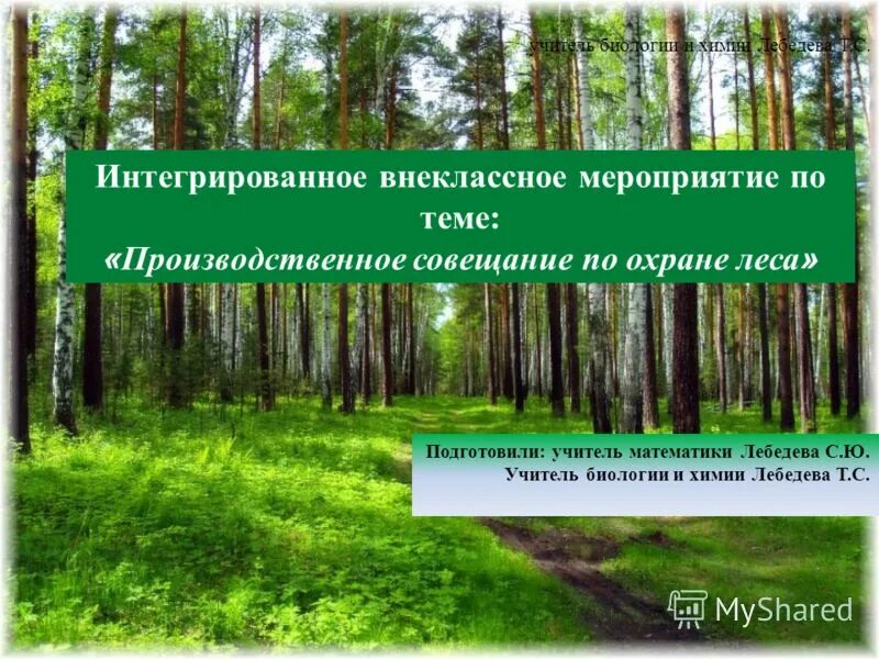 Способы добычи древесины. Лесное хозяйство. Влияние лесной промышленности на окружающую среду. Природы в лесной и деревоперерабатывающей промышленности. Охрана природы в лесной и деревообрабатывающей промышленности.
