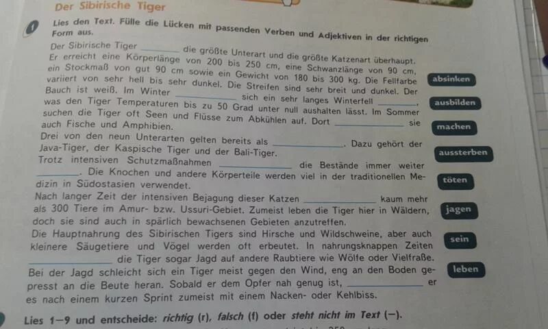 Ist falsch. Ответы по немецкому Lies den. Text. Lies den text und ergänze die Sätze ответ. Er oder Sie немецкий ответы. Немецкий язык 7 класс text 2 lesen Sie den text aus presse und die.