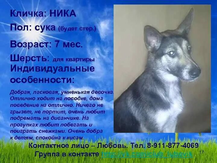 Древнерусские клички собак мем #233 post Трэволта * Travel Blog (l-8NIaHx245jNTdi)