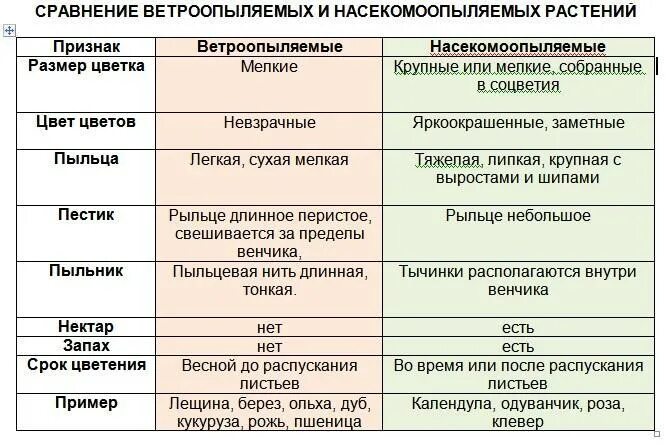 Ветроопыляемые и насекомоопыляемые растения таблица. Признаки ветроопыляемых и насекомоопыляемых растений таблица. Сравнение ветроопыляемых и насекомоопыляемых растений. Особенности ветроопыляемых и насекомоопыляемых растений. Характеристики оплодотворение после опыления установите соответствие