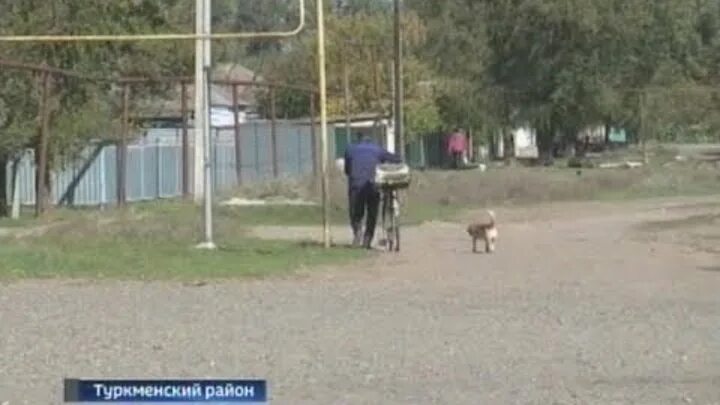 Погода кучерла ставропольский край туркменский. Туркменский район Ставропольский край. Ставропольский край туркменский район село Владимировка. Летняя ставка туркменский район Ставропольский край. Село летняя ставка туркменского района Ставропольского края.