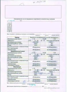 Исследование мочеполовых органов расшифровка