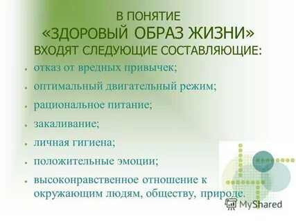 Основные понятия о здоровом образе жизни