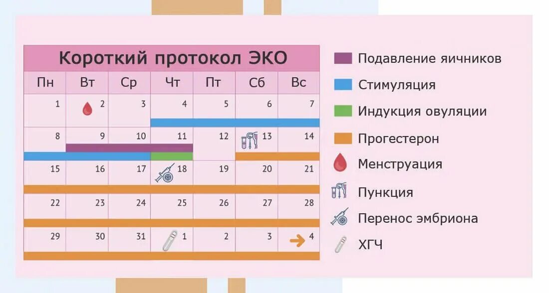 Сколько длится короткая. Длинный протокол эко по дням схема. Схватки и раскрытие таблица. Самый короткий день и самый длинный день в году. Сколько в среднем длится собеседование.