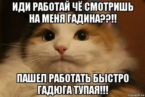 Давай работать картинка