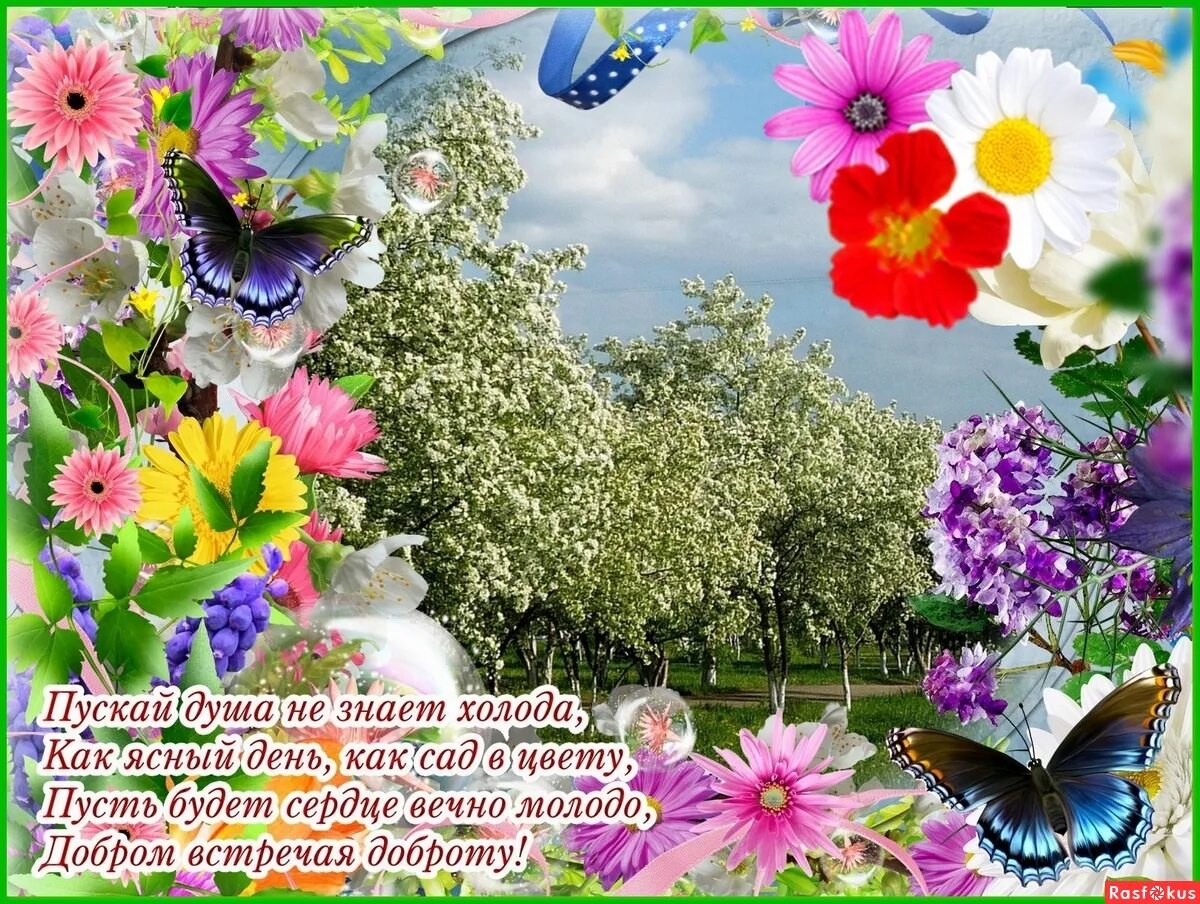 не знающий холода. не знающий холода. не холодно мем. не знающий холода. пускай душа не знает холода стих.