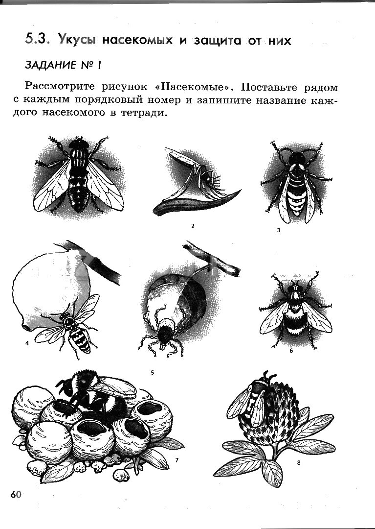 задания ипо обж 9 класс. обж 6 класс задания. обж 6 класс смирнов хренников рабочая тетрадь. обж 6 класс задание. практические задания по обж.