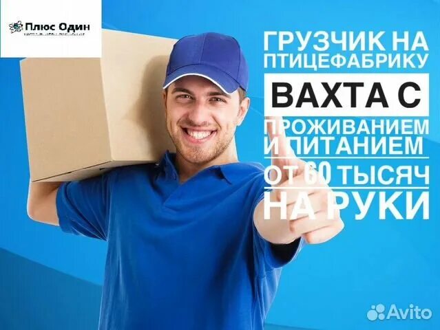 Свежие объявления работа пенза. Услуги грузчиков в белгороде. разнорабочий белгород. разнорабочие в белгороде. грузчики белгород объявления.